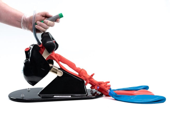 A7405406 Intubation Trainer