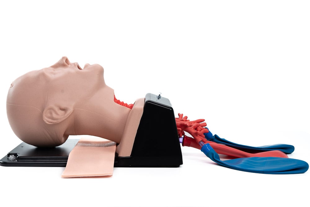 Adult Intubation Trainer
