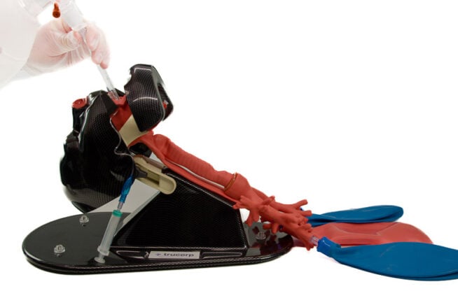 AirSim Oral Intubation Trainer AirSim Oral Intubation Trainer