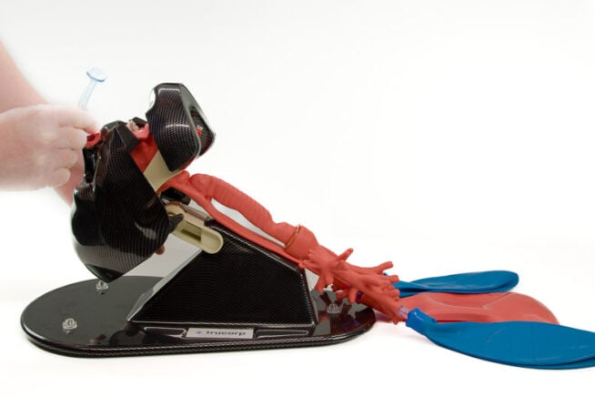 Nasal intubation manikins Nasal intubation manikins