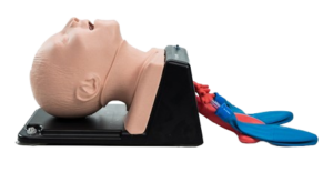 AirSim Child Combo Bronchi X Airway