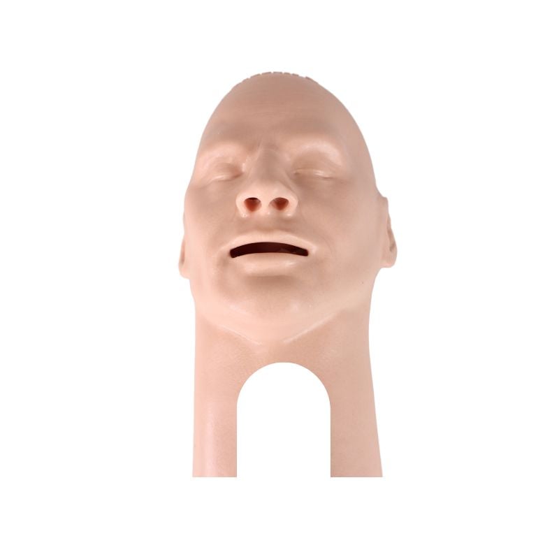 Combo Head Skin & Nasal Passage