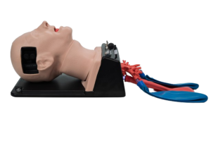 difficult airway management trainer