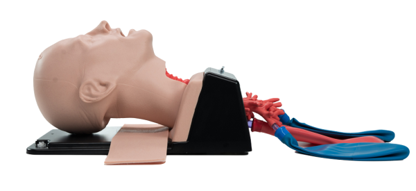 Airsim Combo X Mastery In Advanced Airway Management