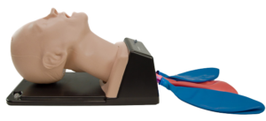 Intubation training manikin