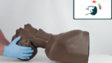 Smart Airway Adult - Head Position