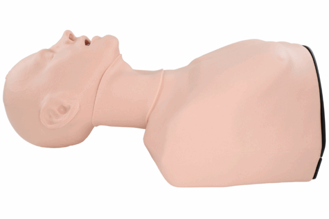 SAA10001X - Smart Airway Adult (12) TruCorp Smart Airway Adult Manikin
