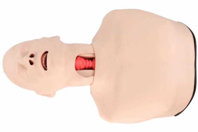 TruCorp Smart Airway Adult TruCorp Smart Airway Adult