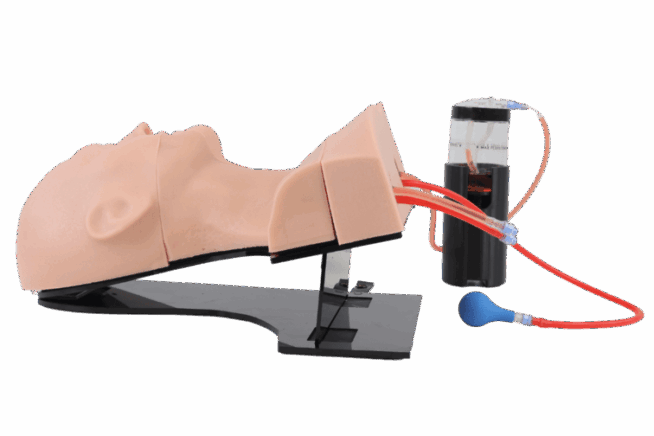 TruCVC - Central Venous Catheter Trainer TruCVC - Central Venous Catheter Trainer