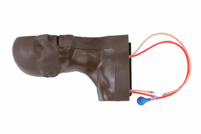 TCVC100 - TruCVC (18) Central Venous Catheter Simulator - Dark Skin Tone