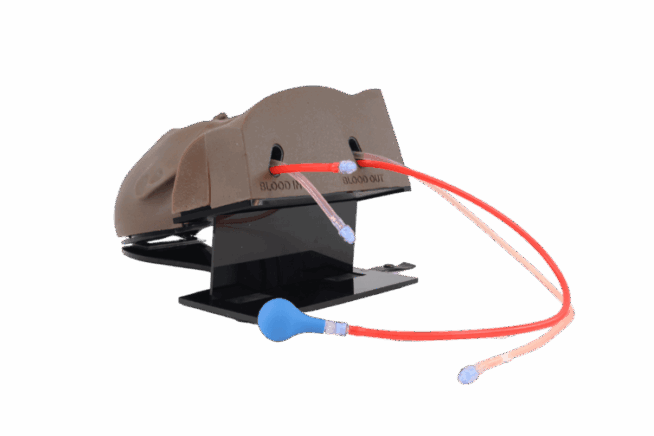 TCVC100 - TruCVC (19) Central Venous Catheter Simulator - Dark Skin Tone