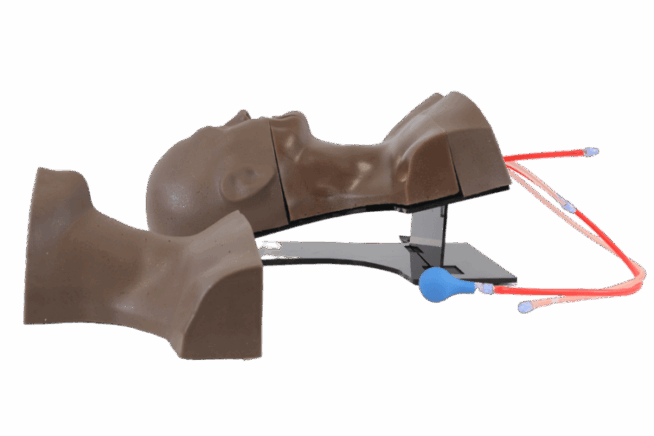 TCVC10TruCVC - Central Venous Catheter Trainer - Dark Skin Tone0 - TruCVC (3) TruCVC - Central Venous Catheter Trainer - Dark Skin Tone