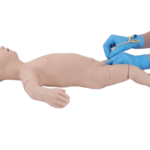 Urethral Catheterisation Task Trainer