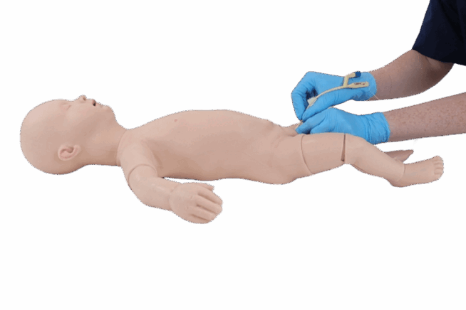 Urethral Catheterisation Task Trainer Urethral Catheterisation Task Trainer