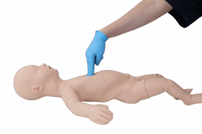 Infant CPR Training Manikin Infant CPR Training Manikin