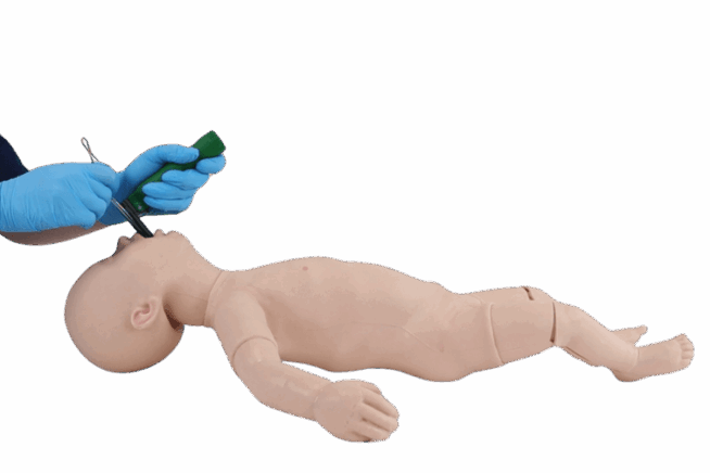 Infant Airway Management Manikin Infant Airway Management Manikin