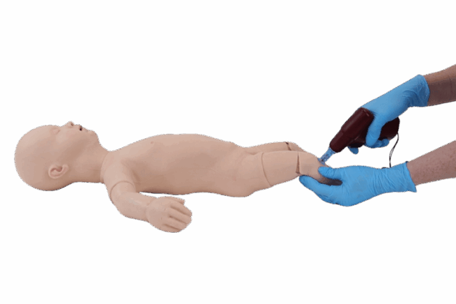 Infant Intraosseous Infusion Task Trainer Infant Intraosseous Infusion Task Trainer