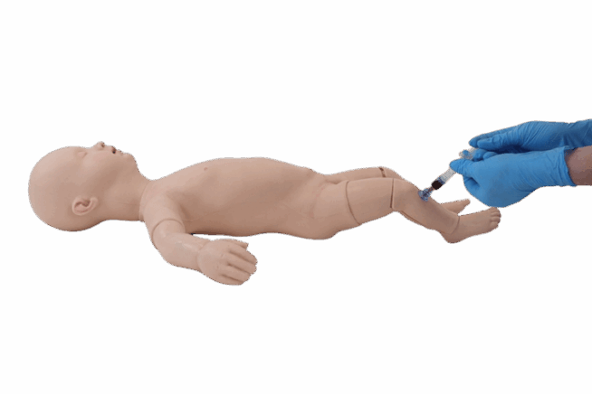 Infant Intraosseous Infusion Task Trainer Infant Intraosseous Infusion Task Trainer