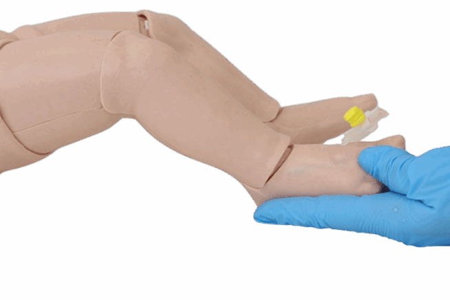Infant Peripheral Venous Cannulation Foot Infant Peripheral Venous Cannulation Foot