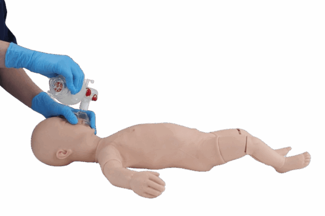 Infant Bag-Valve-Mask Ventilation Trainer Infant Bag-Valve-Mask Ventilation Trainer