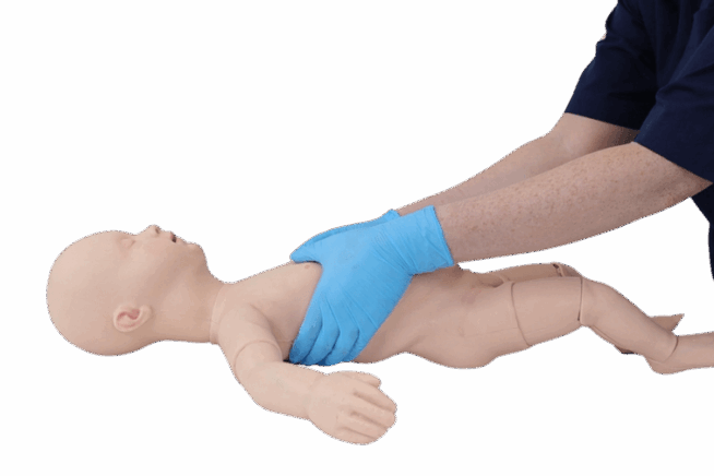 Infant CPR Training Manikin Infant CPR Training Manikin