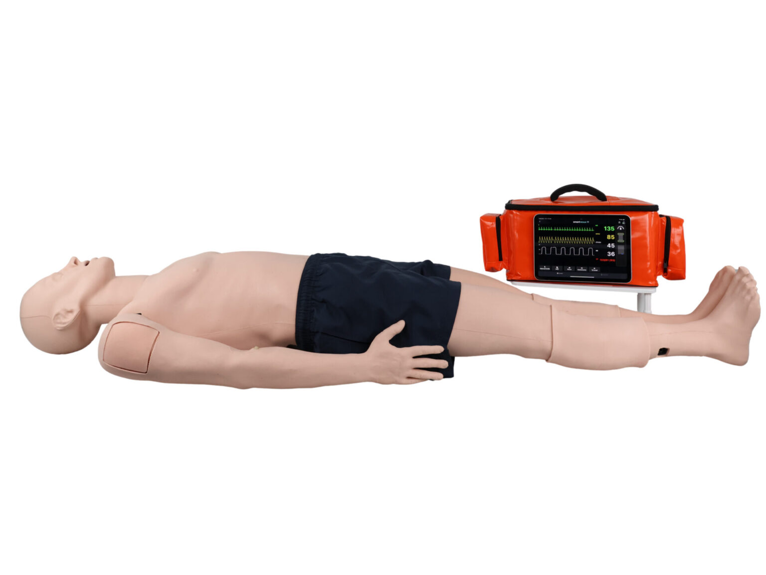 Medical Model Simulators Catheterization Simulators | Catheterization Training Models